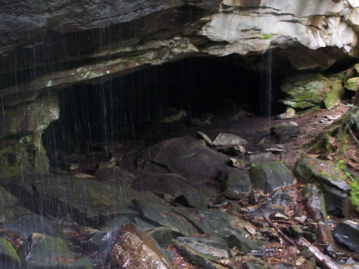 Base of Slick Rock Falls - looks like an animal den to me!