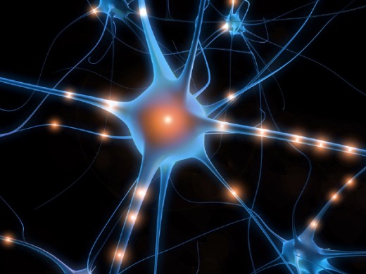 Artist's conception of a neuron. Neuroplasty is the ability of the brain to create new connections between neurons.