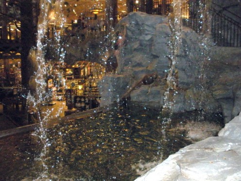Looking down into fish tank from behind waterfall