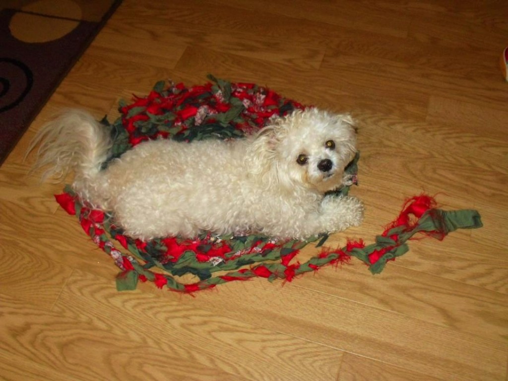 How to Make a Rug From Old Tee Shirts