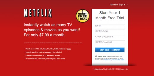 The Netflix Website