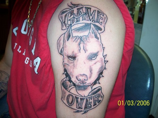 Pit Bull Tattoo Game Over