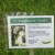Panama hat plant Panama hat plant