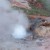 Very small little geyser Very small little geyser