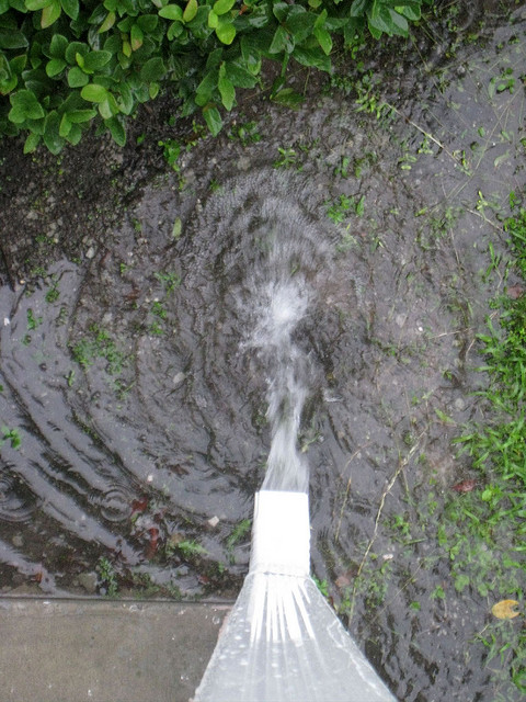 Gutters should direct water away from the house. If you see depressions in the ground beneath downspouts, determine if water has penetrated the foundation or if you can get away with a splash guard.