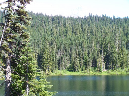 Reflection Lake parking area