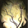 FantasyMuse profile image