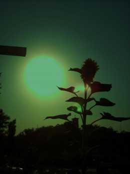 https://usercontent1.hubstatic.com/7026186_f260.jpg