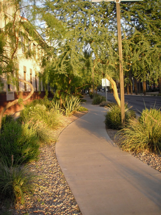 Sunrise streetscape on Van Buren Street, Phoenix near the Phoenix Convention Centre.  There is a way to stop thinking about food and keep losing weight.