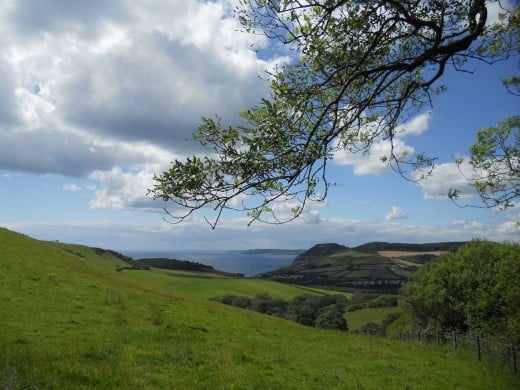 Dorset countryside