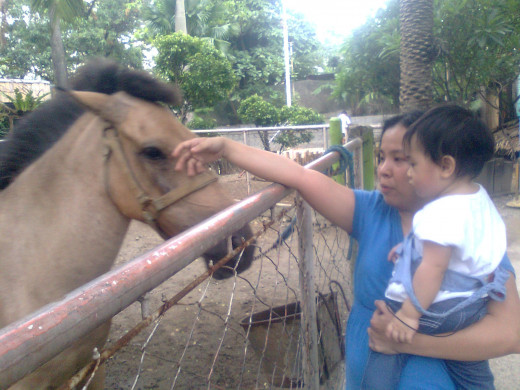 Yna's first encounter with a real horse.  