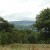 1612 on Pendle from Gib Wood 1612 on Pendle from Gib Wood
