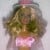 A close-up of Barbie in her favorite dancing costume