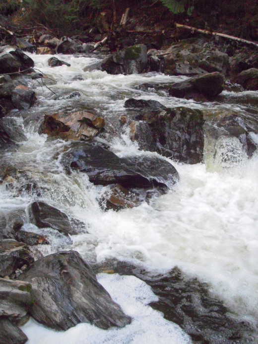 Chase Creek is still full in July, after a rainy spring with floods.