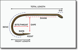 Taken from:  http://www.flatlandflyfishers.com/Flyfishing101/Hooks.htm