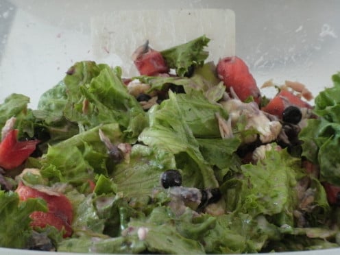 Delicious salad with Romaine lettuce, blueberries and tuna. 
