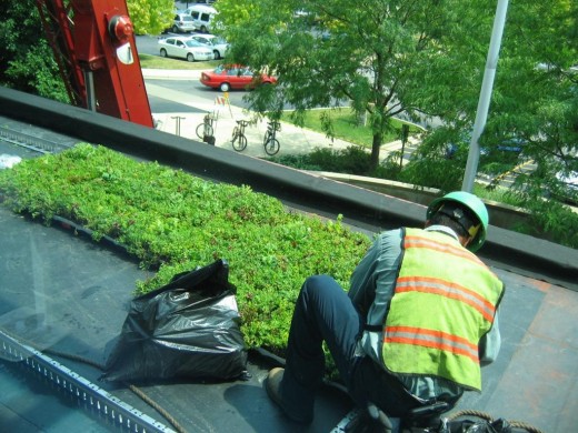 Installation, in progress, at the Gail Borden Public Library in 2011