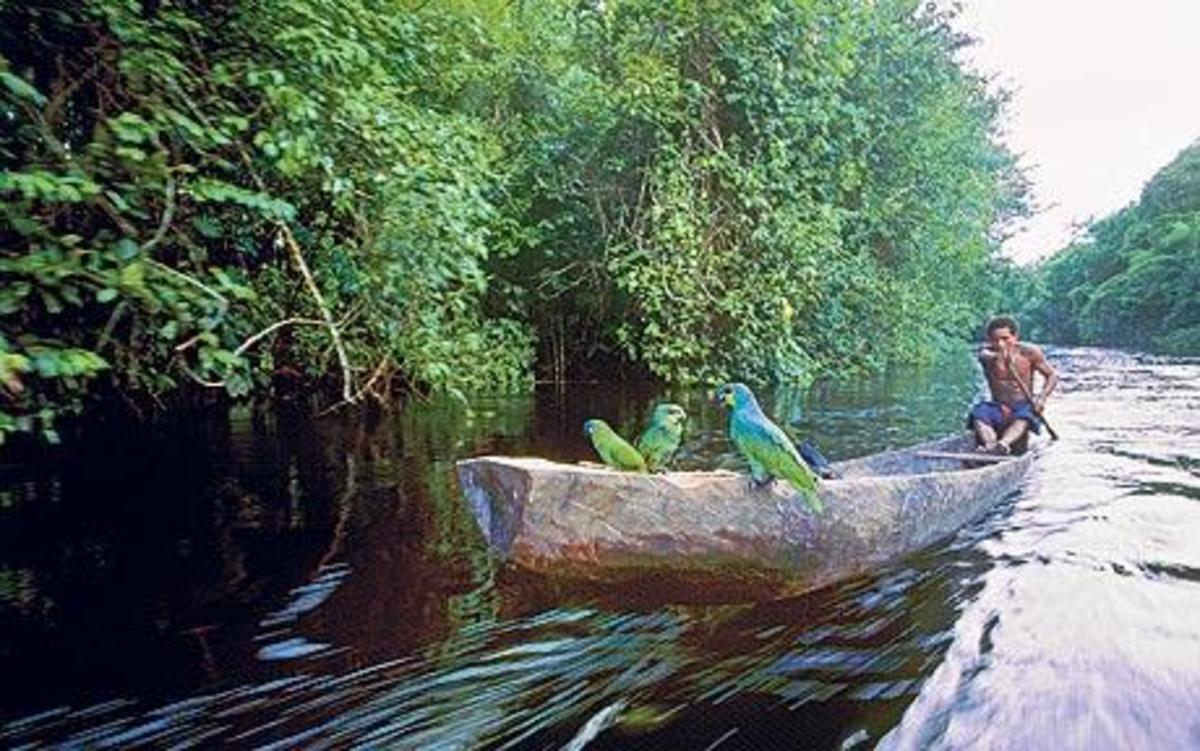 A dug out canoe making its way up one of Guyana's many waterways. 