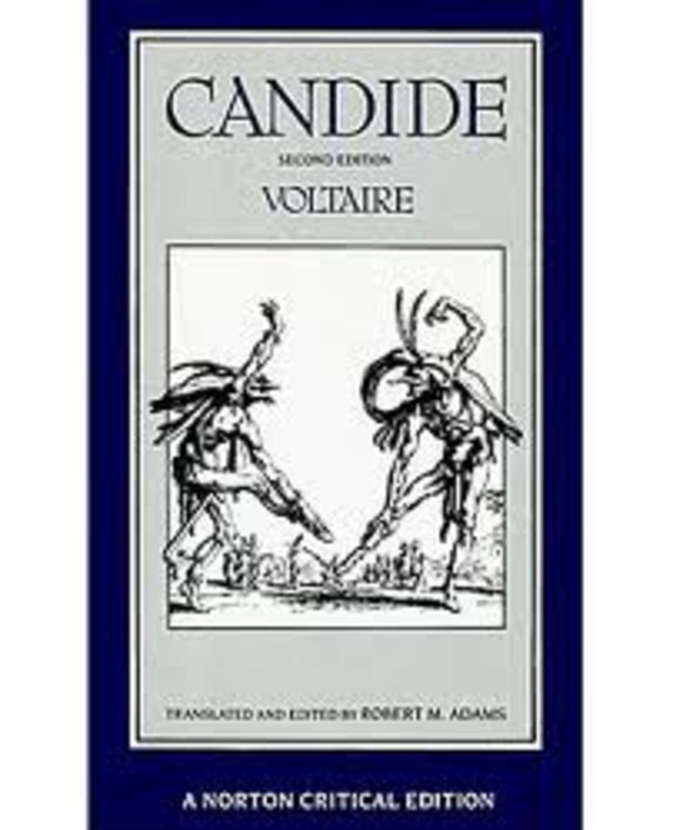 Essay on candide by voltaire