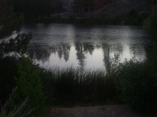 The reflection of the trees on Grass Valley Lake.