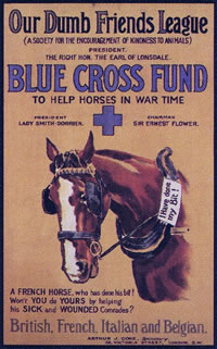 Blue Cross poster from World War I.  Blue Cross has been caring for sick and injured horses since 1897, including during WWI, and opened the first animal hospital in the world in 1906.