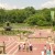 Turtle Pond (Images I Captured) Turtle Pond (Images I Captured)