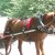 The Bicycle Roadway for carriages, bikes, joggers, and more The Bicycle Roadway for carriages, bikes, joggers, and more