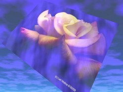 Protecting What's Not Mine Chapter Five