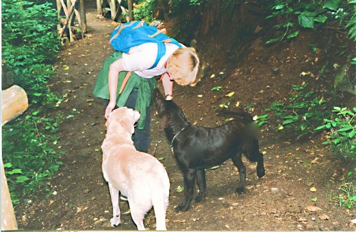 Walking or hiking with pets is an enjoyable activity. Walking or hiking with pets is an enjoyable activity.