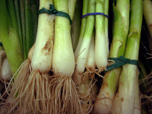 Don't buy the ones with the scallions cut off, that is the root and without the root, you can't re-grow your own.  