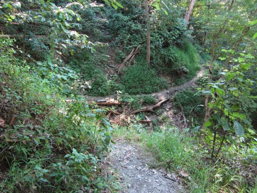 Along the Turkey Hill Trail