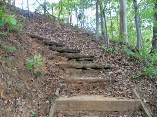 A stairway in the woods