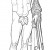 Hermes Hermes