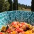 A dish of sunshine! A dish of sunshine!