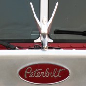 Boxwood Green profile image