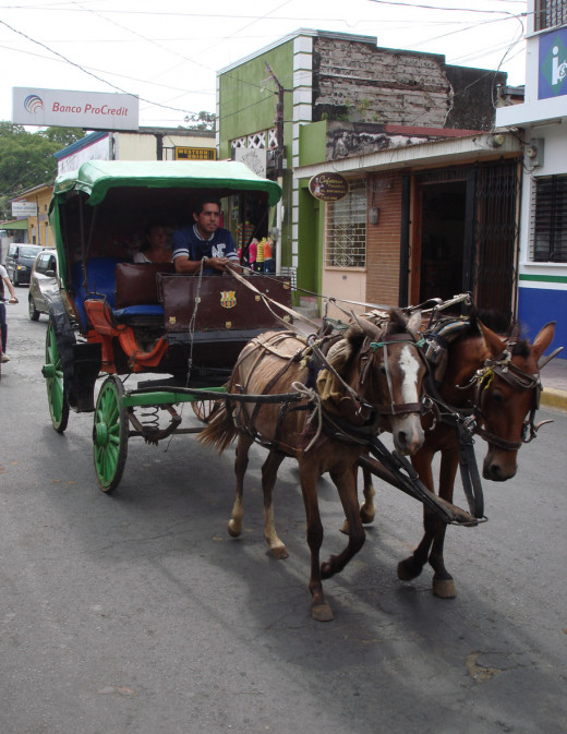Take an old-fashioned taxi to make a quick tour of the town.  Horse drawn carts are also used to carry around building materials and other heavy items.