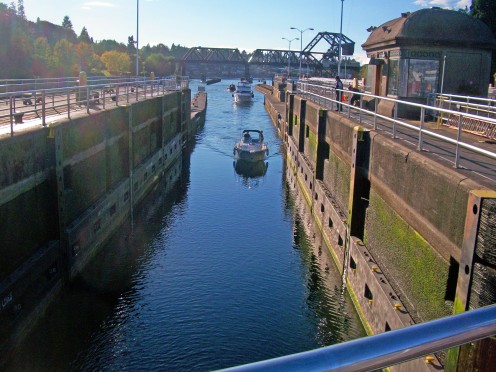 Boats entering the Ballard Locks