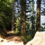 Narrow Path in Multnomah Falls Walking Trail Narrow Path in Multnomah Falls Walking Trail