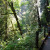 Multnomah Falls Walking Trail Multnomah Falls Walking Trail