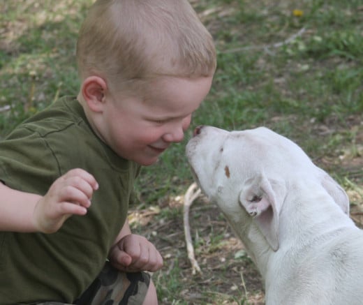 This little boy isn't afraid of the puppy who is almost as big as he is. You can stop being afraid as well by following these three steps.