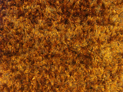Note the curly fibers of a frieze carpet.