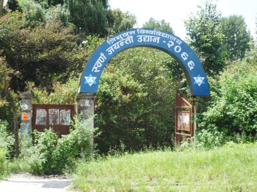 Gateway to Faculty Department(Tribhuvan University)