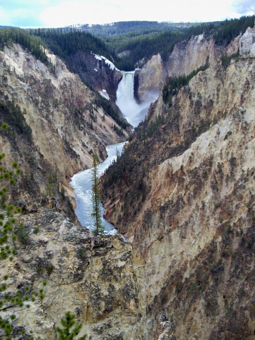 View from Artist Point looking towards Lower Yellowstone Falls through the Grand Canyon of Yellowstone