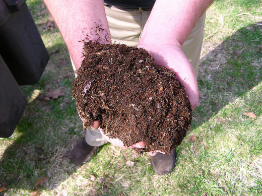 A handful of healthy compost.