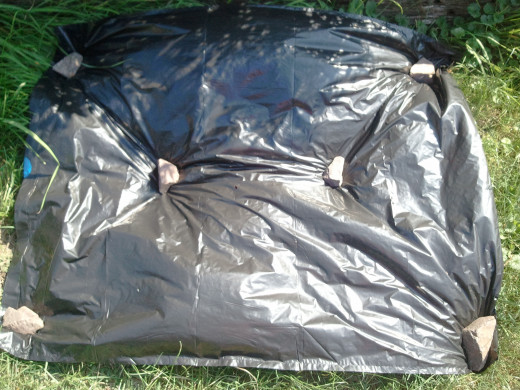 Using a black garbage bag for solarization.