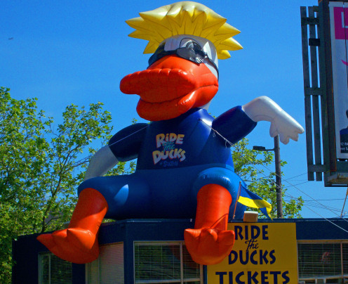 The DUCK of Seattle Duck Tours