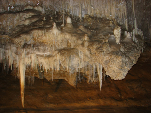 A limestone formation (dragon?) in Lake Cave, near Margaret River, Western Australia.