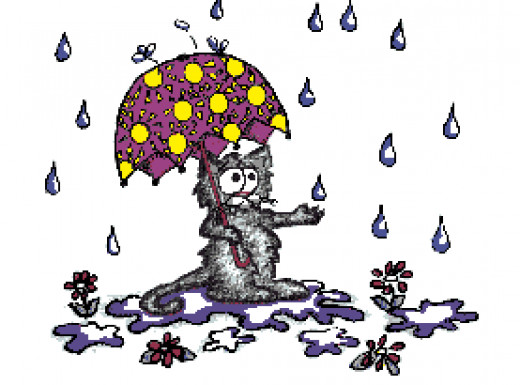 Cat In The Rain Short Story Cat in the Rain by Ernest Hemingway summary - Ernest Hemingway Cat in