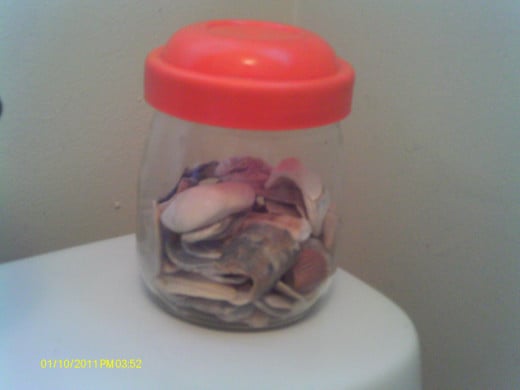 Jar of shells from the ocean brings an aesthetic and serene feeling to the room