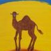 Sudani profile image